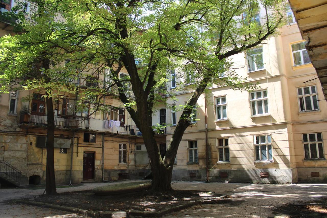 Квартира В Центрі Львова 외부 사진